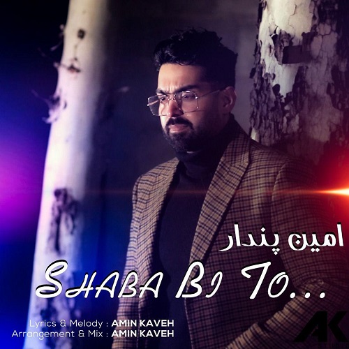 امین پندار شبا بی تو