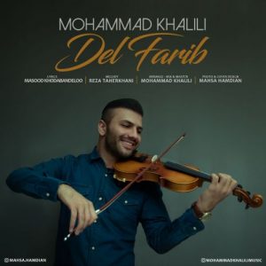محمد خلیلی دل فریب