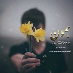 پیوند بمون