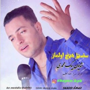 شایان بیگ محمدی سنسیز هیچ اولماز