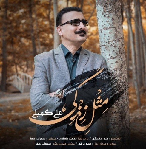 علی کمیلی مثل زندگی