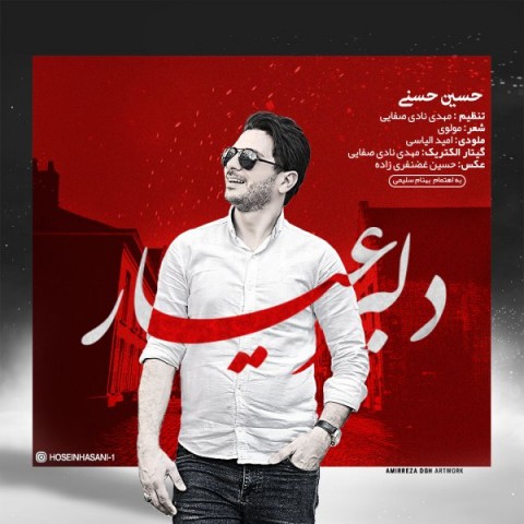 حسین حسنی دلبر عیار