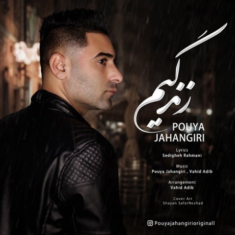 پویا جهانگیری زندگیم