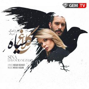 سینا داودنژاد کلاغ سیاه