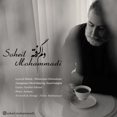 سهیل محمدی دلم گرفته