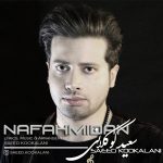 سعید کوکلانی نفهمیدم
