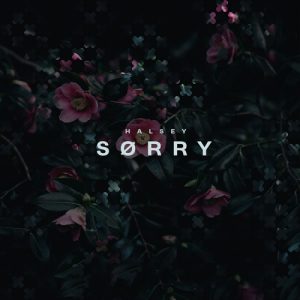 هالزی Sorry
