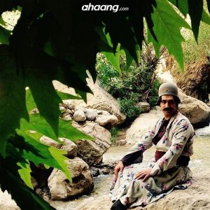 کاظم کریمی گل برنجاس