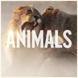 مارون 5 Animals