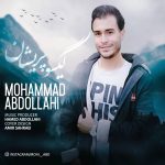 محمد عبداللهی گیسو پریشان