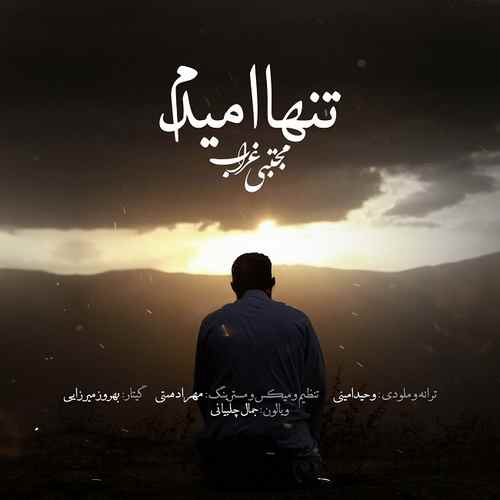 مجتبی غراب تنها امیدم