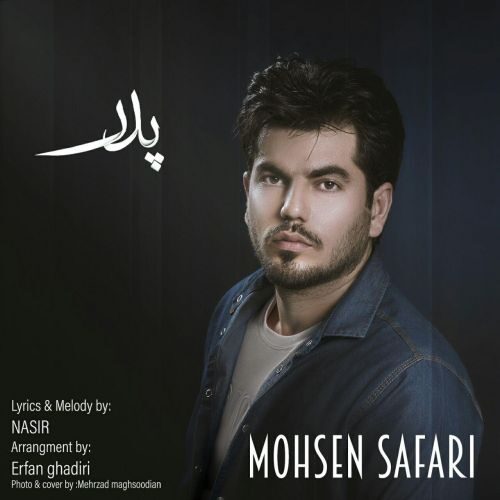 محسن صفری پدر