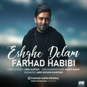 فرهاد حبیبى عشق دلم