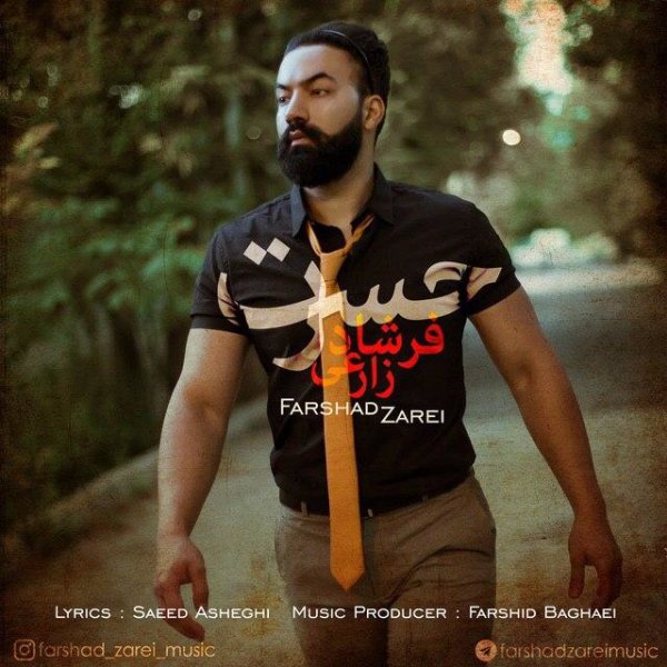 فرشاد زارعی حسرت