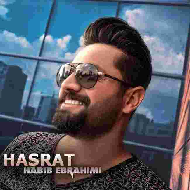 حبیب ابراهیمی سیخ نری