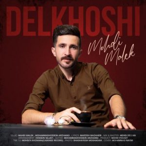 مهدی ملک دلخوشی
