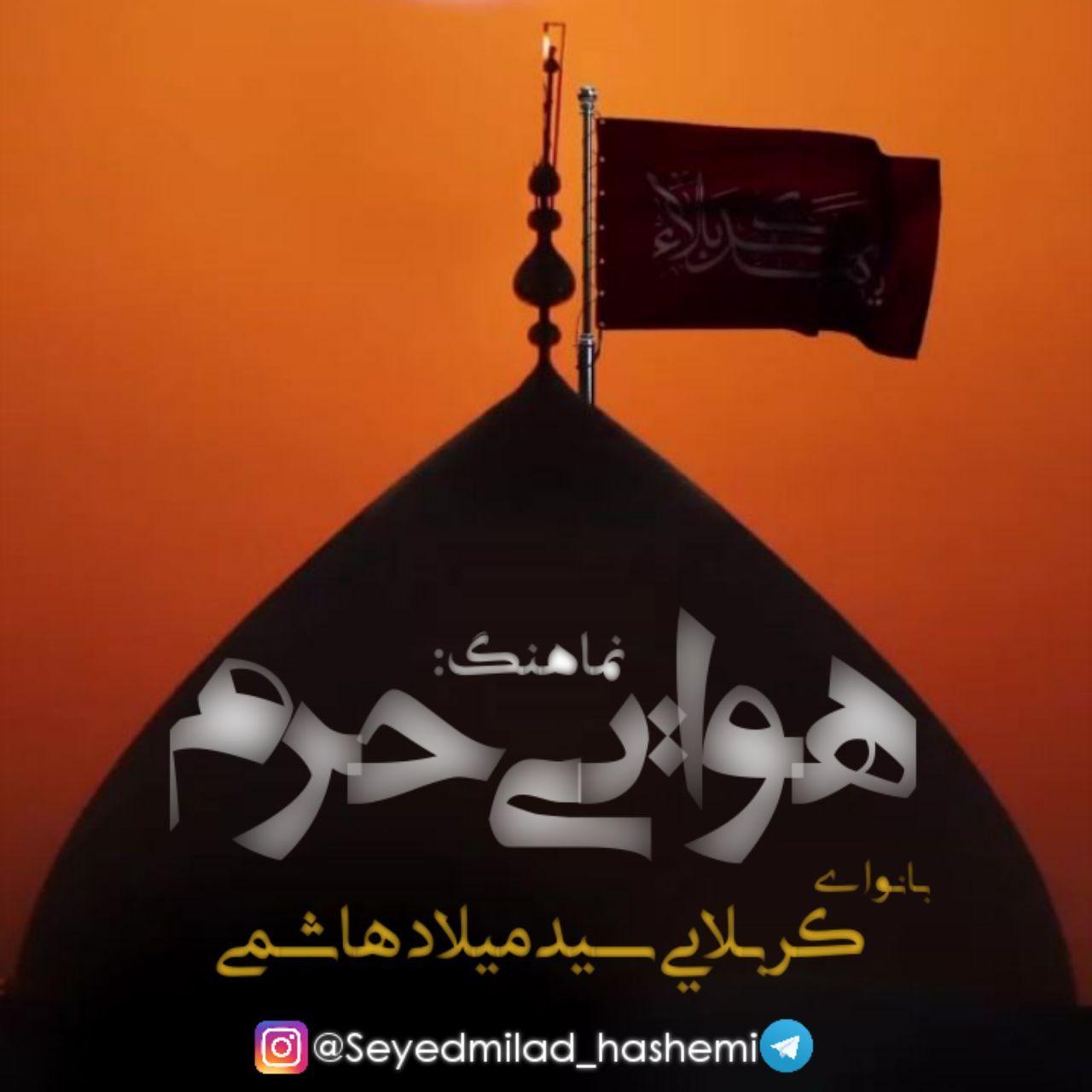میلاد هاشمی هوایی حرم