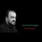 دانلود مداحی ای وای رقیه (مداحی استودیویی) سید طالع برادیگاهی