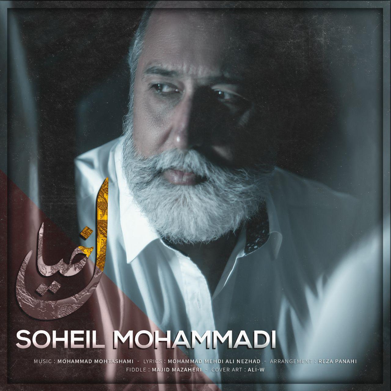 سهیل محمدی خیال