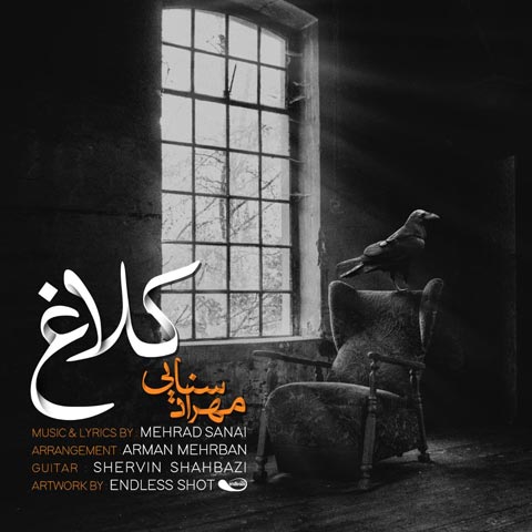 مهراد سنایی کلاغ