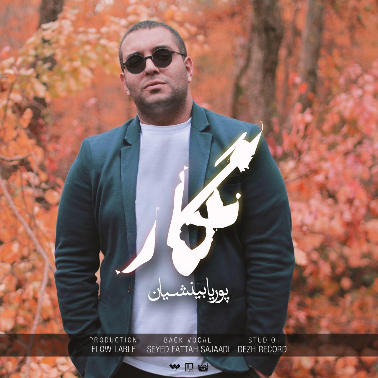 پوریا بینشیان نگار