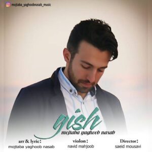 مجتبی یعقوب نسب قیش