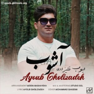 آشوب ایوب قلی زاده