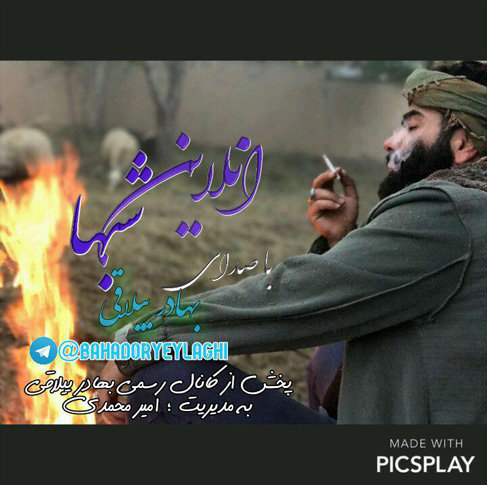 بهادر ییلاقی آنلاین شب ها