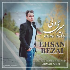 احسان رضایی میری ولی