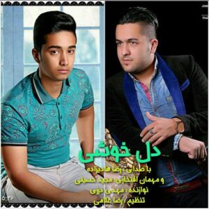 مجید حسینی دل خوشی