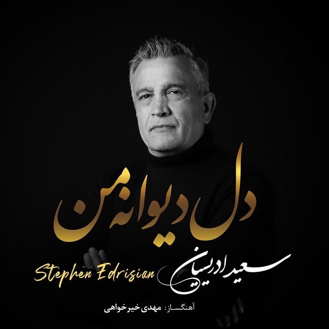 استفن ادریسیان دل دیوانه من