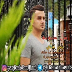 ابی عالی دل دیوونه