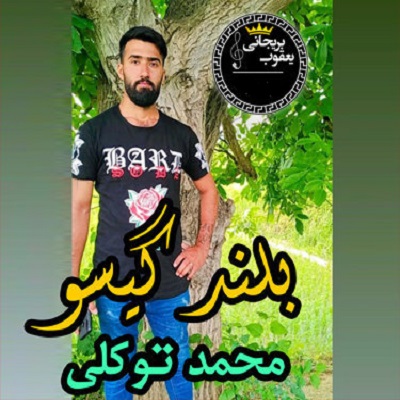 محمد توکلی بلند گیسو
