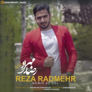 رضا رادمهر نمیری از دل