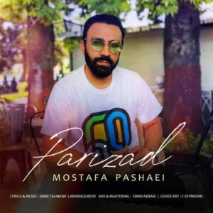 مصطفی پاشایی پریزاد