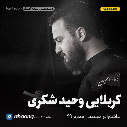 مداحی شب عاشورا محرم 99 کربلایی وحید شکری