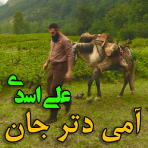 علی اسدی آمی دتر جان