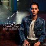 معین زلفی دلم تنگه
