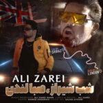 علی زارعی شب شیراز صبا لندن