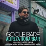 علیرضا هنرکار گوله برف
