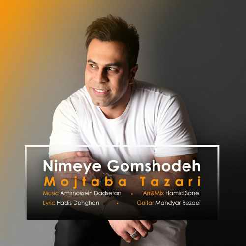مجتبی طزری نیمه گمشده