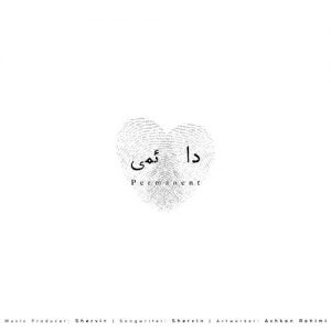 شروین حاجی آقاپور دائمی