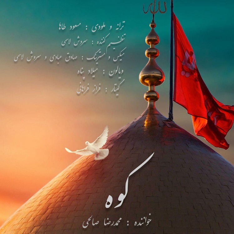 محمدرضا صالحی کوه
