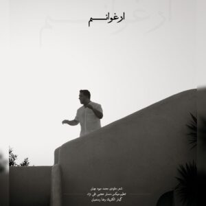 محمد میوه چیان ارغوانم