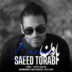 سعید ترابی بارون