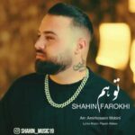 شاهین فرخی توهم