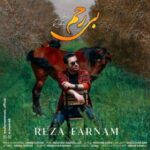 رضا فرنام بی رحم