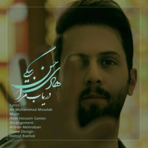 هادی حسن بیگی دریاب مرا