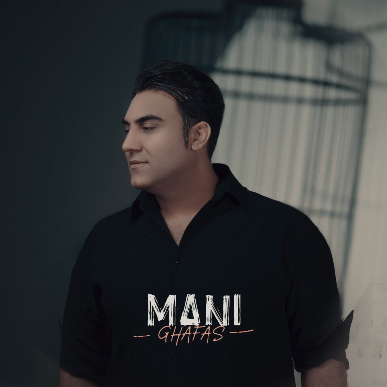 دانلود آهنگ مانی قفس MP3 اصلی