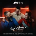 گروه آوید دوباره بارونه